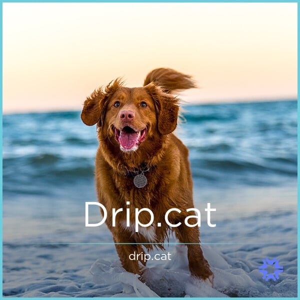 Drip.cat image 2