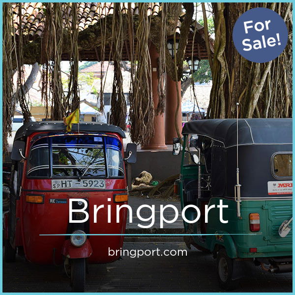 Bringport.com