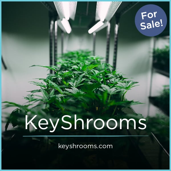 KeyShrooms.com image 2