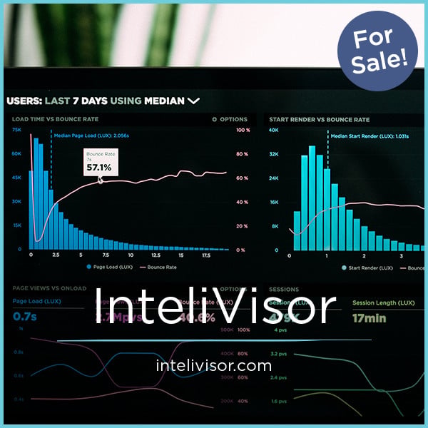 InteliVisor.com image 2