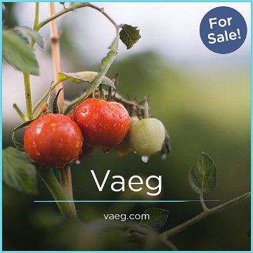 Vaeg.com