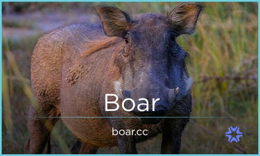 Boar.cc is for sale