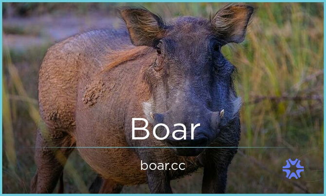 Boar.cc