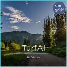 TurfAI.com - Best premium domain marketplace