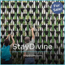 StayDivine.com - Best domains for sale