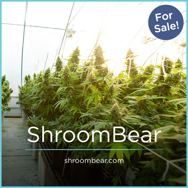 ShroomBear.com - Cool premium domain marketplace