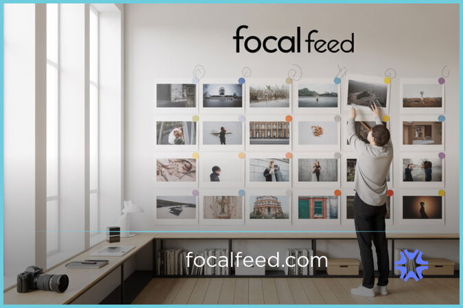 FocalFeed.com — 2