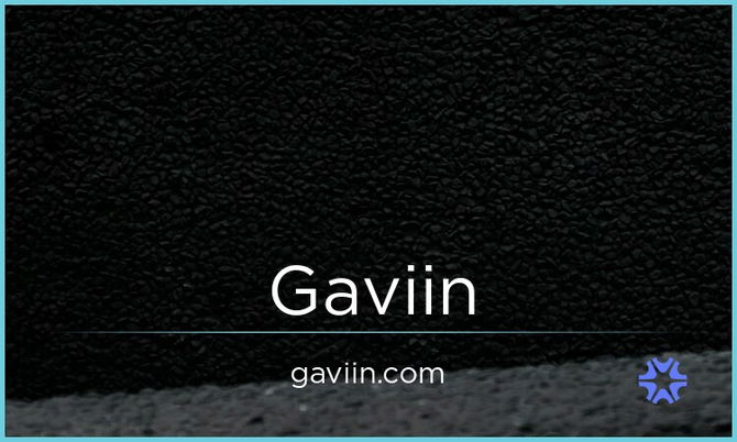 Gaviin.com