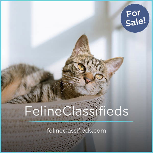 FelineClassifieds.com