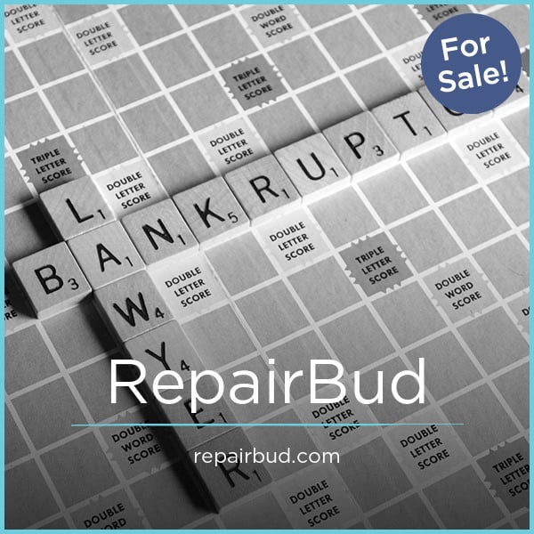 RepairBud.com image 2