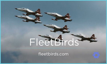 FleetBirds.com - Creative brandable domain for sale