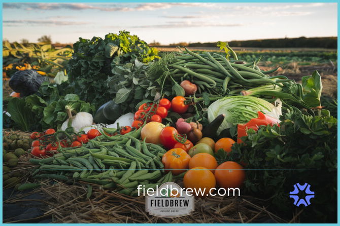FieldBrew.com