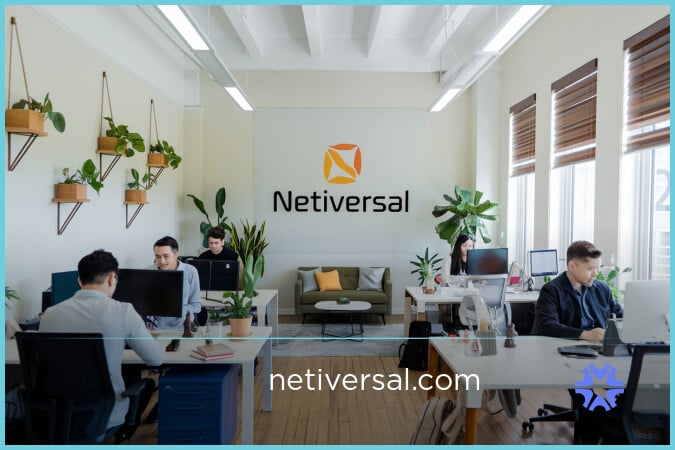 Netiversal.com image 2