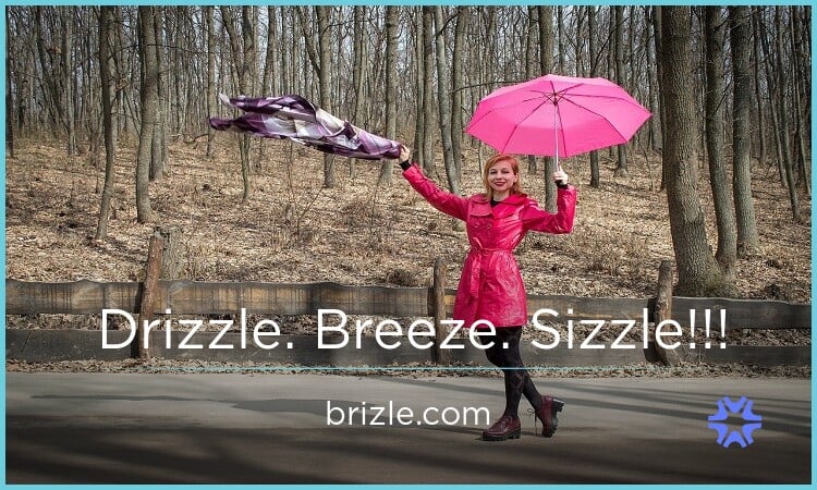 Brizle.com - Good premium domains