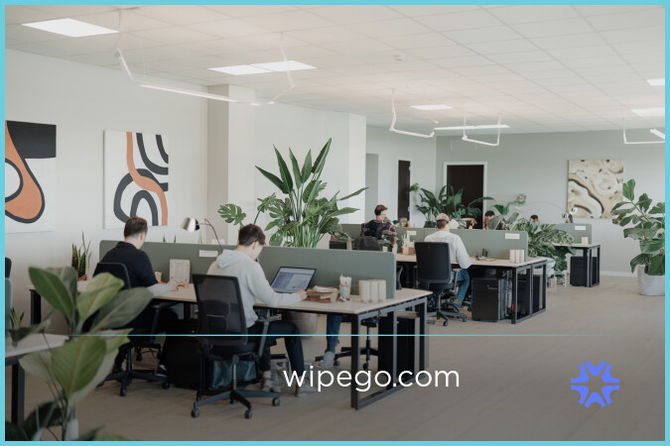 WipeGo.com