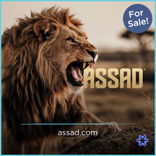 Assad.com - buy Cool premium names