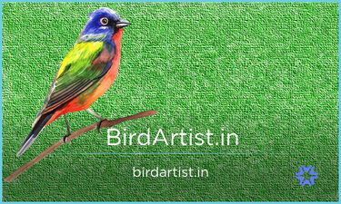 BirdArtist.in - Creative brandable domain for sale