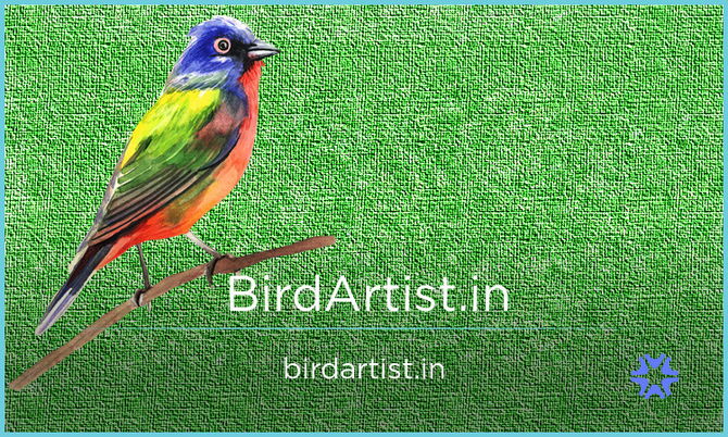 BirdArtist.in