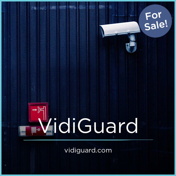 VidiGuard.com