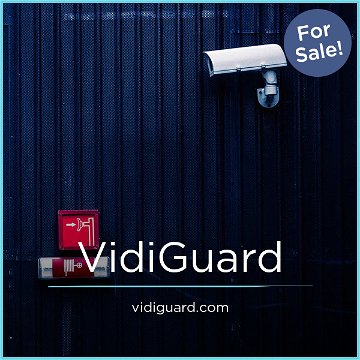 VidiGuard.com