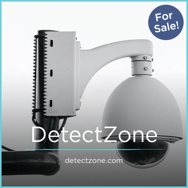 DetectZone.com - buy Unique premium names