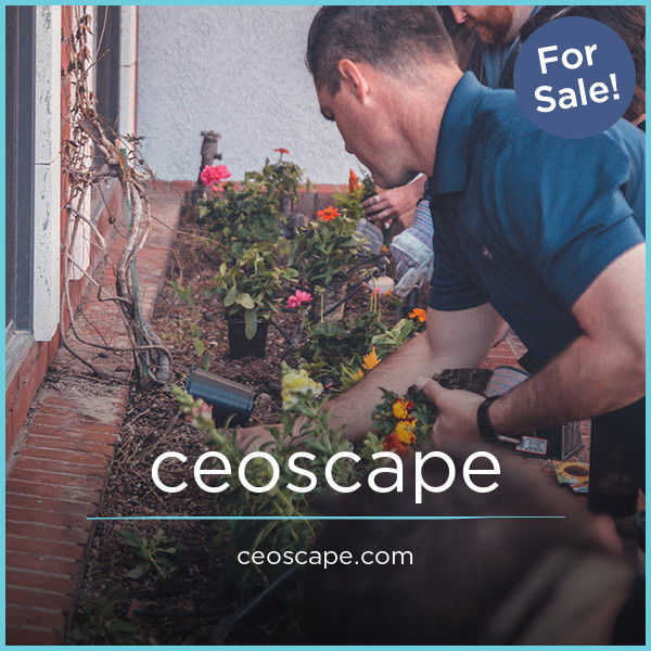 CeoScape.com