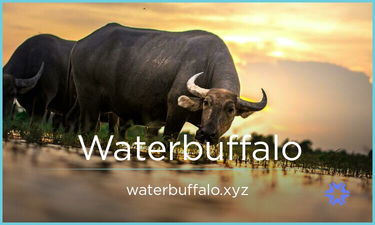 Waterbuffalo.xyz - Creative brandable domain for sale