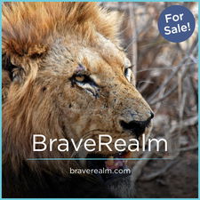 BraveRealm.com - Cool premium domains for sale