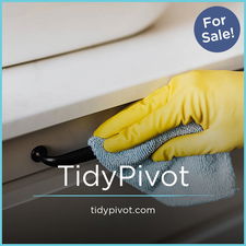 TidyPivot.com - buy Best premium domains