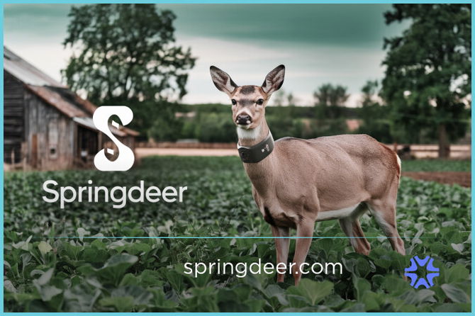 SpringDeer.com