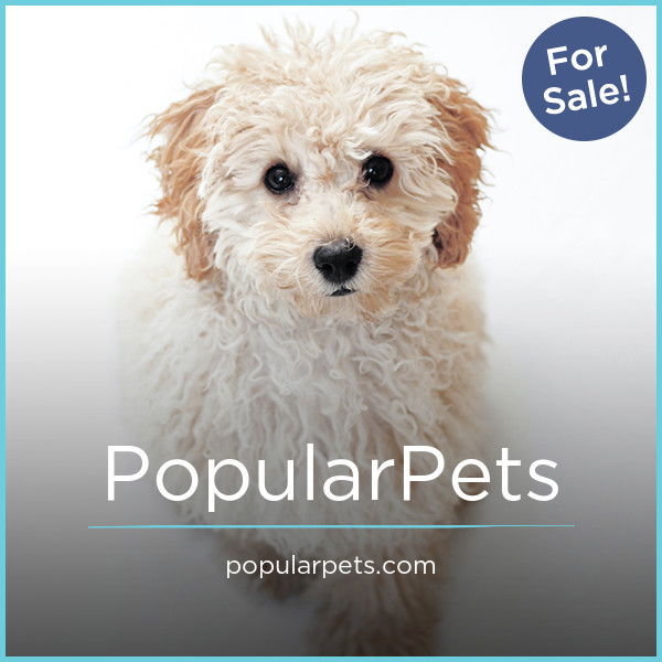 PopularPets.com — 2