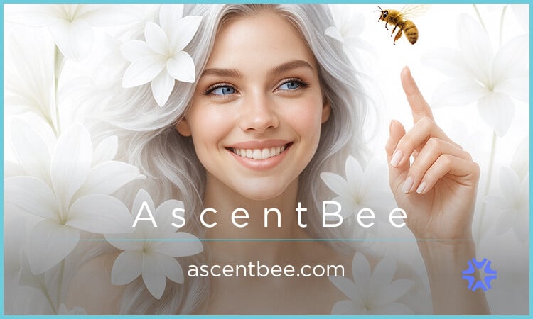 AscentBee.com image 2