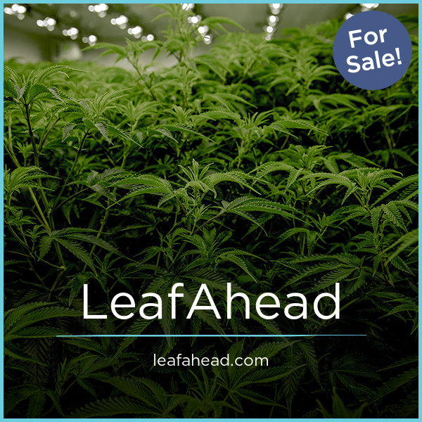 LeafAhead.com - Great domains for sale