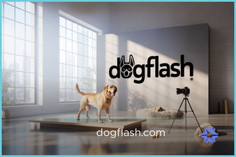 DogFlash.com - buy Cool premium domains