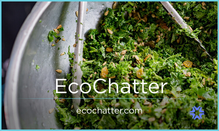 EcoChatter.com - Cool premium names
