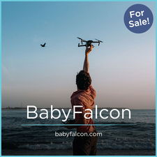 BabyFalcon.com - buying New premium names
