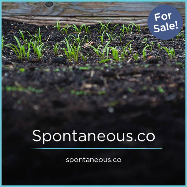 Spontaneous.co — 2