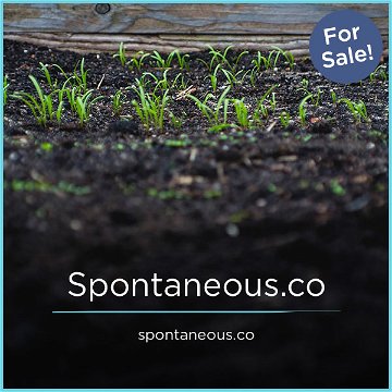 Spontaneous.co