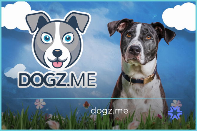 Dogz.me