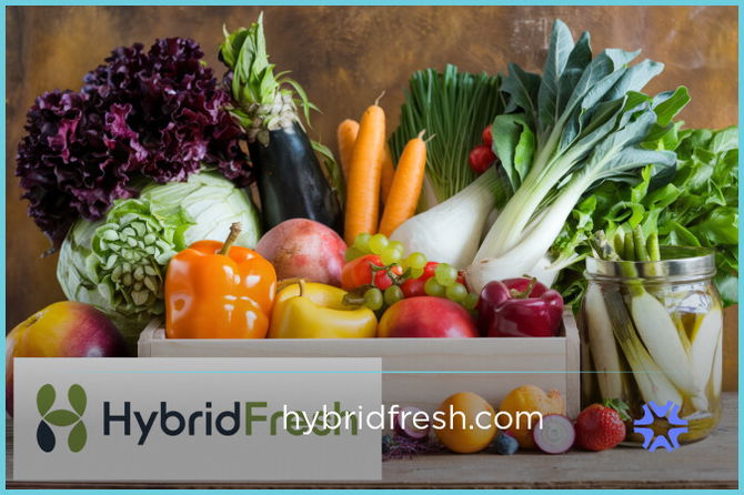 HybridFresh.com — 2