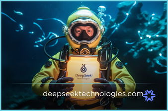 DeepSeekTechnologies logo