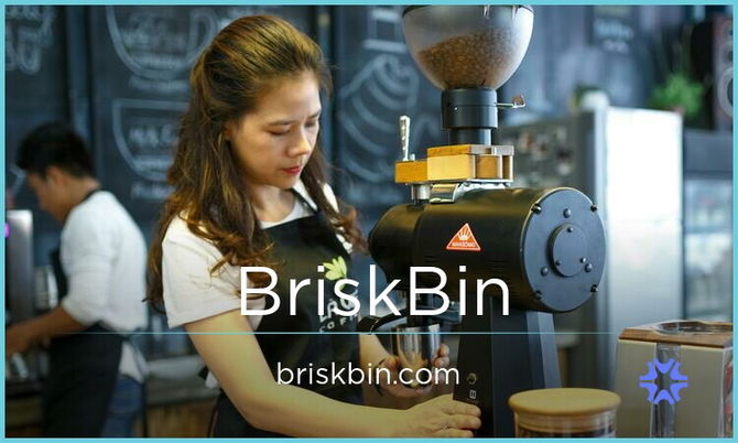 BriskBin.com — 2