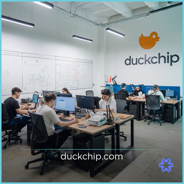 DuckChip.com image 2