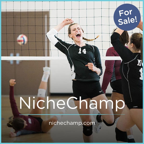 NicheChamp.com image 2