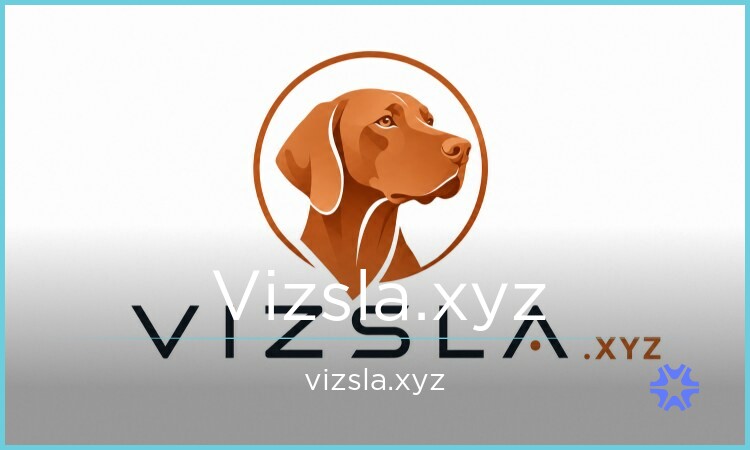 Vizsla.xyz - Best premium domain marketplace