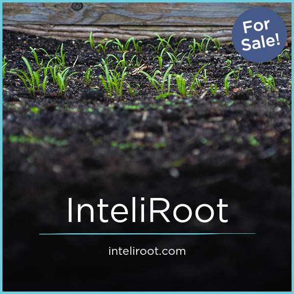 InteliRoot.com - Good premium domains for sale