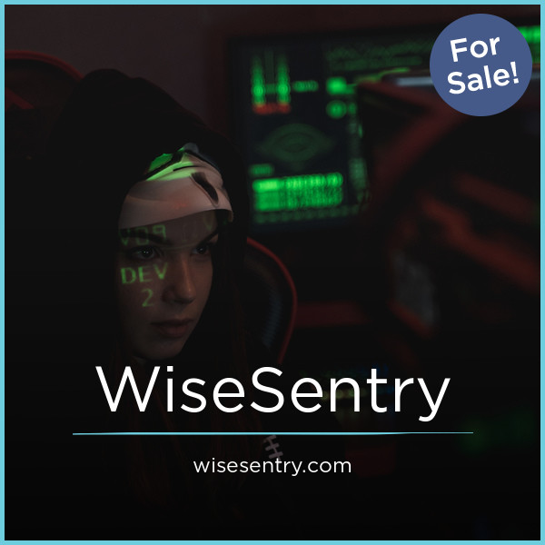 WiseSentry.com image 2