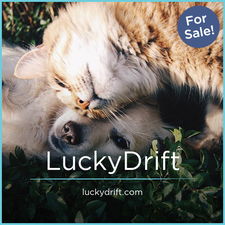 LuckyDrift.com - Great domains for sale