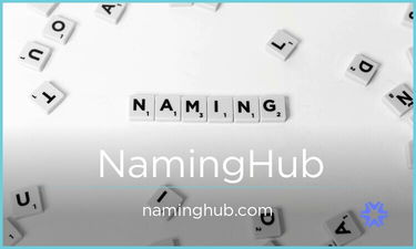 NamingHub.com - Creative brandable domain for sale