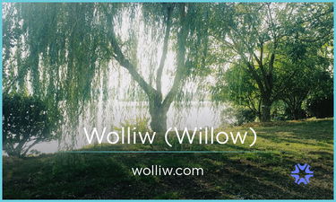 Wolliw.com - Creative brandable domain for sale